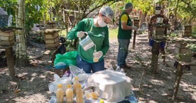 Prefeitura de Parintins e IPAAM convocam criadores de abelha para ciclo de palestras e mutirão de regularização