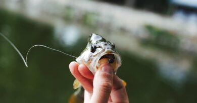 Em Tefé, MP investiga possível dano ambiental por pesca predatória em lagos de aldeia indígena