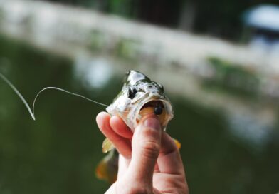 Em Tefé, MP investiga possível dano ambiental por pesca predatória em lagos de aldeia indígena