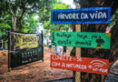 Prefeitura de Parintins inaugura Bosque Linear das Acácias e amplia áreas verdes para convivência e sustentabilidade