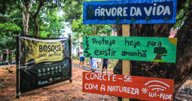 Prefeitura de Parintins inaugura Bosque Linear das Acácias e amplia áreas verdes para convivência e sustentabilidade