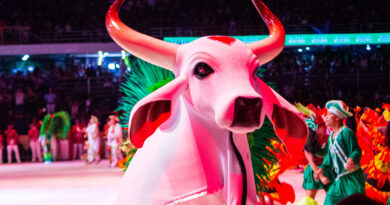Boi Garantido encerra primeira noite do Festival de Parintins 2026
