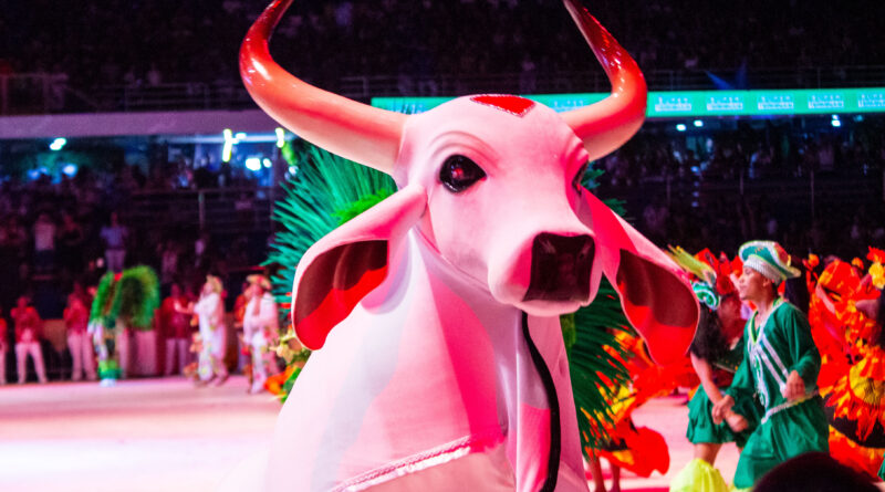 Boi Garantido encerra primeira noite do Festival de Parintins 2026