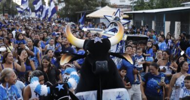 Histórico: Caprichoso reúne multidão de torcedores mirins no Boizinho de Rua