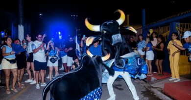 Mais de 60 mil pessoas transformam Parintins em um mar azul e branco no Boi de Rua do Caprichoso