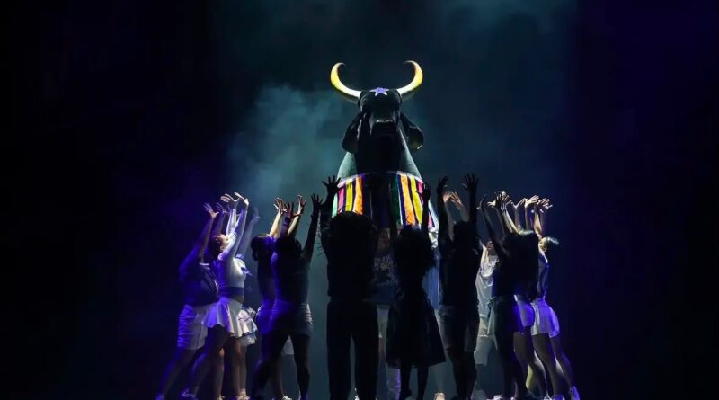 Boi Caprichoso conquista destaque internacional com a Cia Arfact em festival de dança