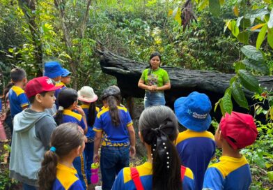 Prefeitura promove programação educativa para incentivar a preservação das florestas em Parintins