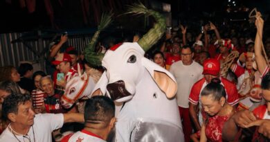 Com multidão nas ruas, Garantido cumpre tradição da Matança do Boi na Baixa da Xanda
