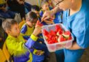 Projeto incentiva estudantes a desenvolver hábitos alimentares saudáveis desde a infância