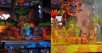 24º Festival de Bois em Miniatura será realizado em setembro em Parintins