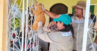 Vila Amazônia recebe Campanha de Vacinação Antirrábica entre os dias 25 e 28