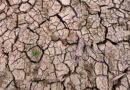 Em Novo Aripuanã, MP acompanha medidas preventivas aos efeitos do El Niño no período de estiagem