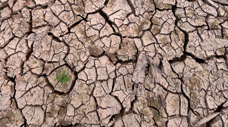 Em Novo Aripuanã, MP acompanha medidas preventivas aos efeitos do El Niño no período de estiagem