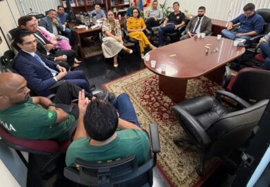 MPAM e órgãos federais alinham atuação para responsabilizar criminalmente autores de queimadas no Amazonas