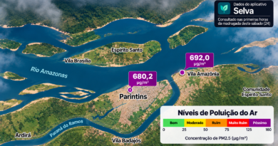 Parintins respira fumaça: Selva exibe 680,2 µg/m³ de partículas finas; na Vila Amazônia, valor chega a 692,0