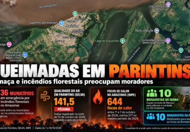 Parintins está entre os 36 municípios em emergência por incêndios florestais; qualidade do ar preocupa