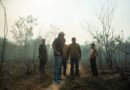 Prefeitura de Parintins reforça combate a queimadas na Vila Amazônia com contratação de brigadistas